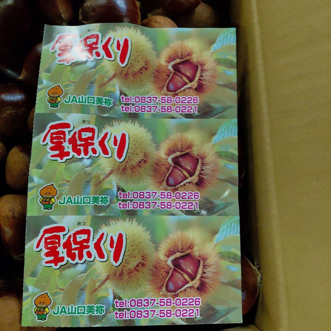 山口県産 3Lサイズ 栗 30kg専用になります 予約品になります。
