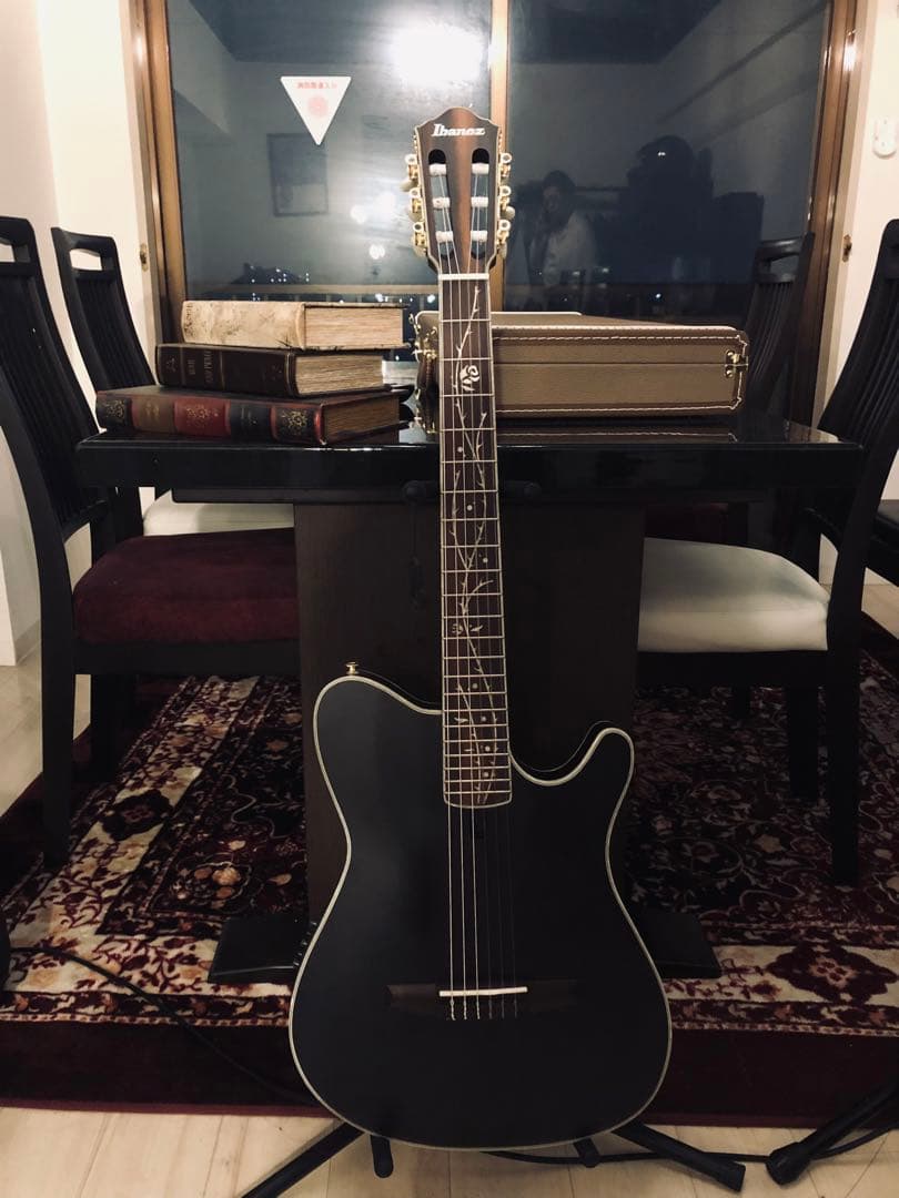 ギター ibanez tod10n