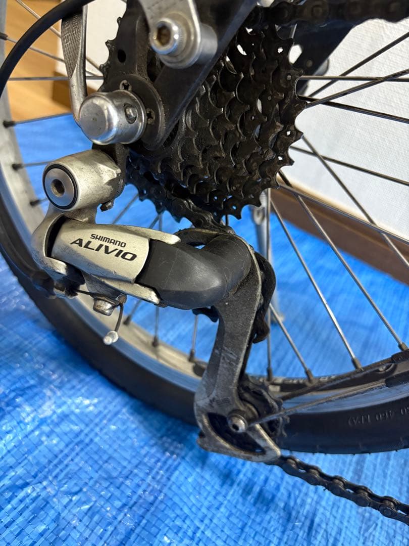 【Taichi 】R&M BD-1 / 18インチ / 折りたたみ自転車