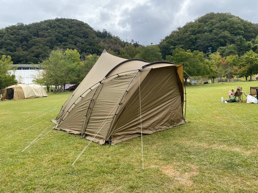 ゼインアーツ　ロロ【3回使用】