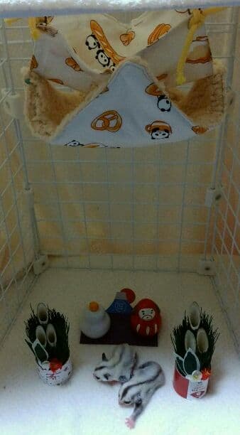 モモンガハウス (パンダカフェ柄 クリーム)  ボアベージュ  2000円