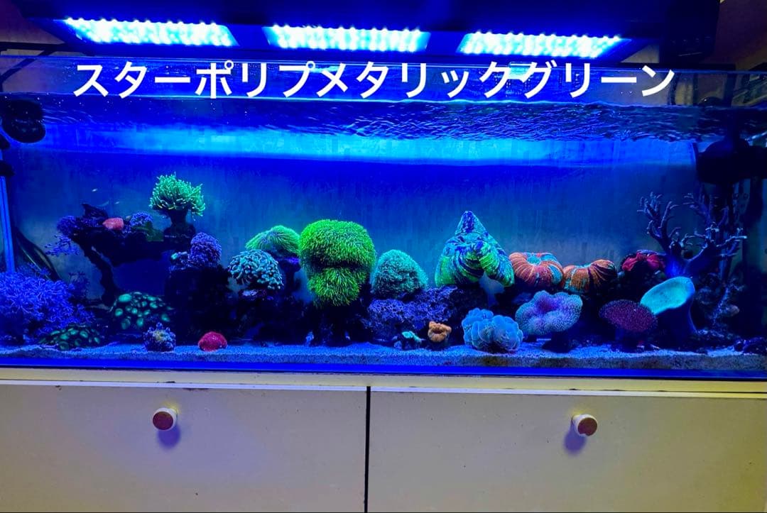 ライブロックセット　月島様