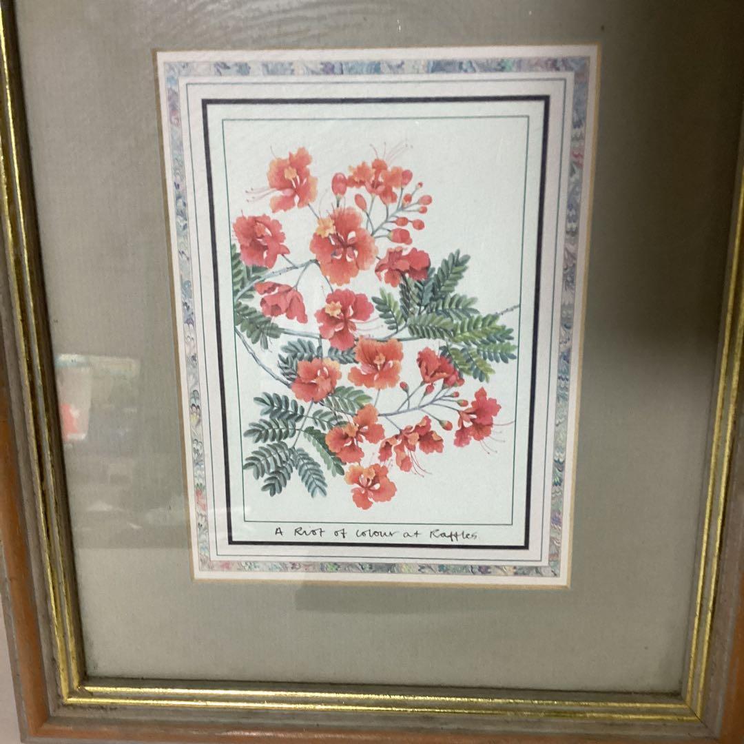 シンガポール　ラッフルズホテル購入作品　【ピーコックフラワー】　額装　 即決品