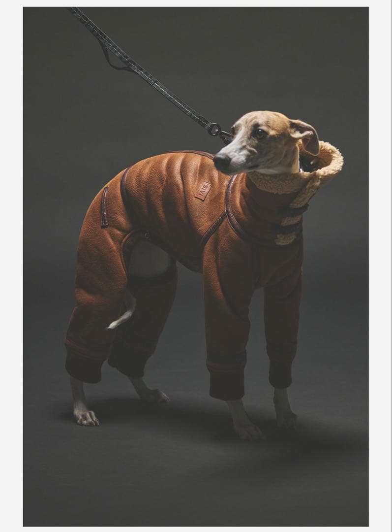 sivi B3フライトスーツ ブラウン