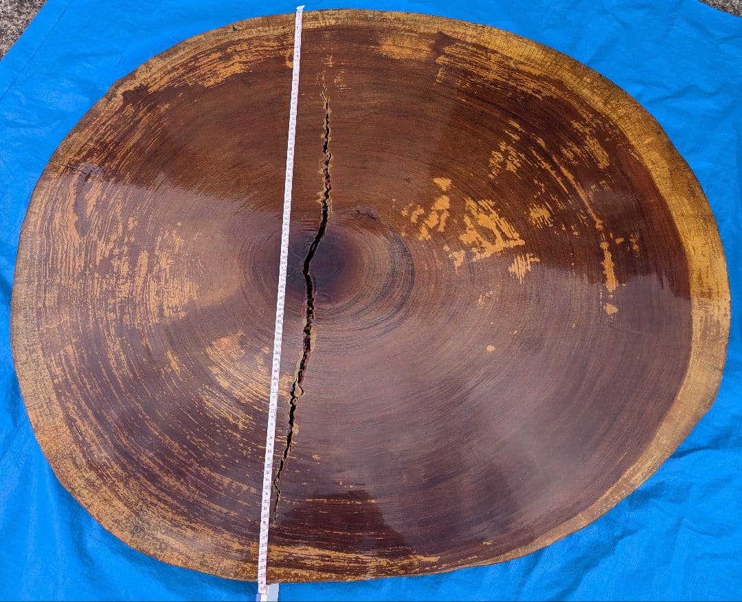 【天然木】 無垢 一枚板 輪切り 座卓 直径約115cm 厚さ5.5cm 重厚