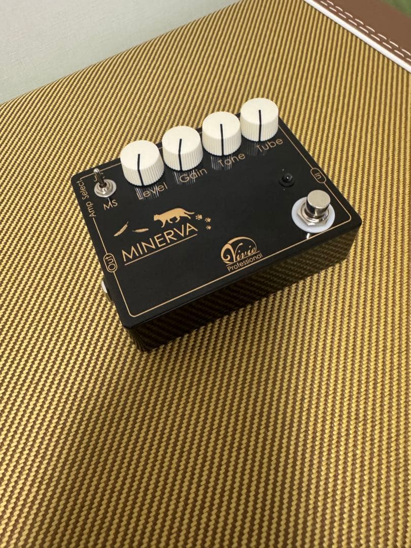 ギター vivie minerva