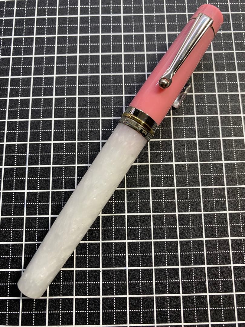 DELTA Vintage VOLONTA 万年筆　字幅F