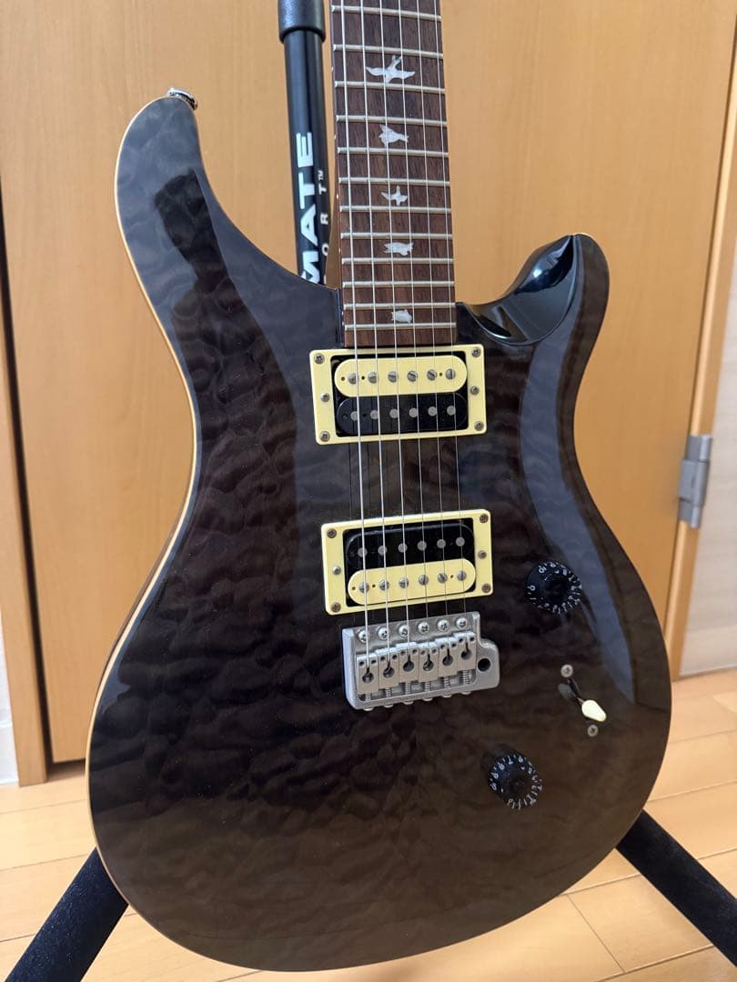 ギター PRS SE Custom24