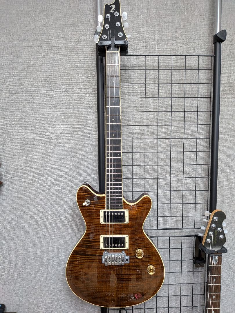 ギター T's guitars ARC-STD