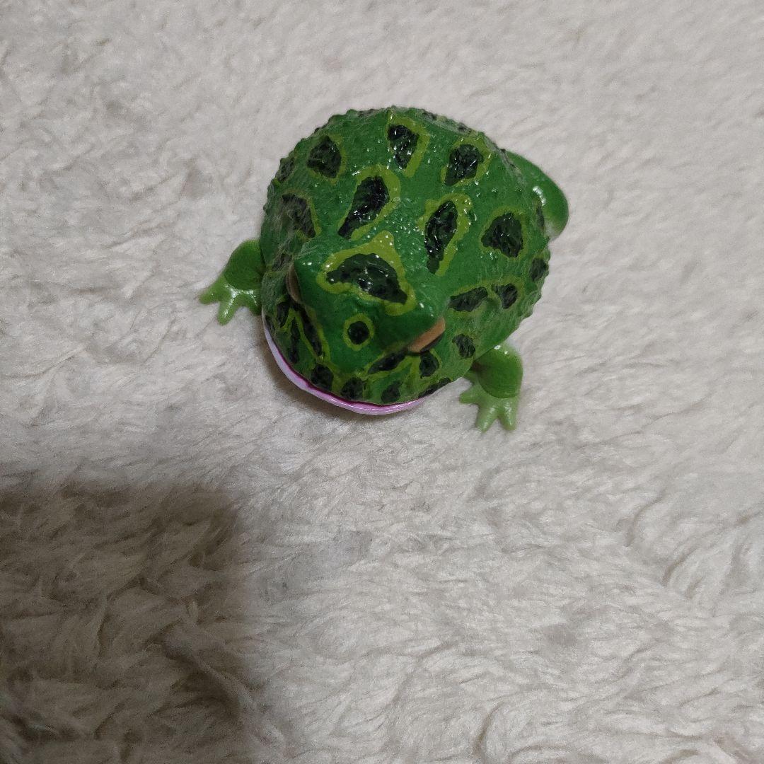 カエルおもちゃ