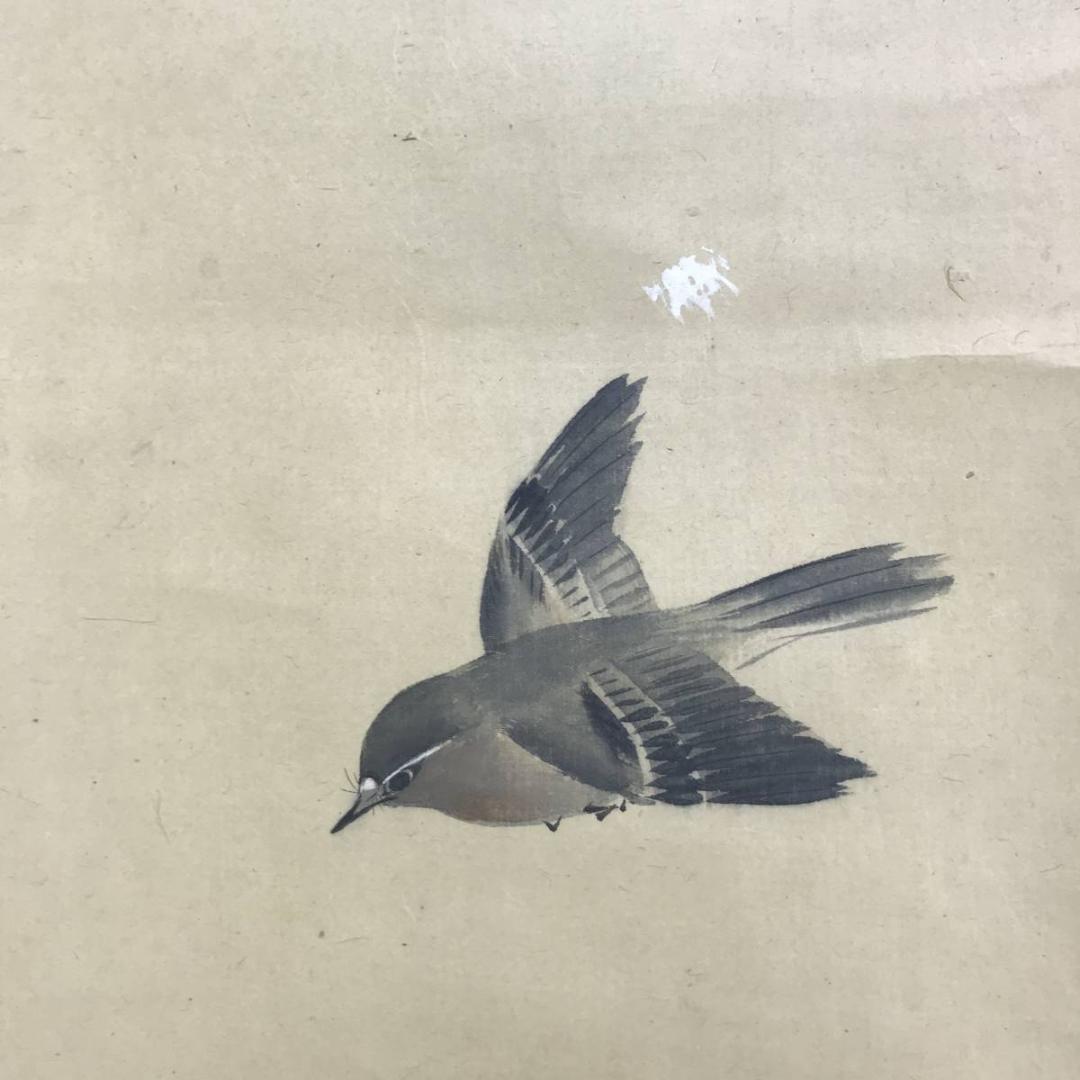 真作/村瀬雙石/菊に鴬図/花図/花鳥図/小鳥図/小禽図/名家伝来/AD-927