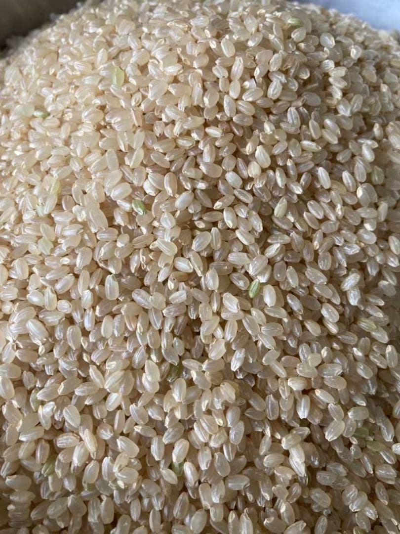 令和7年産農家直送 岩手県産ひとめぼれ 玄米30キロ