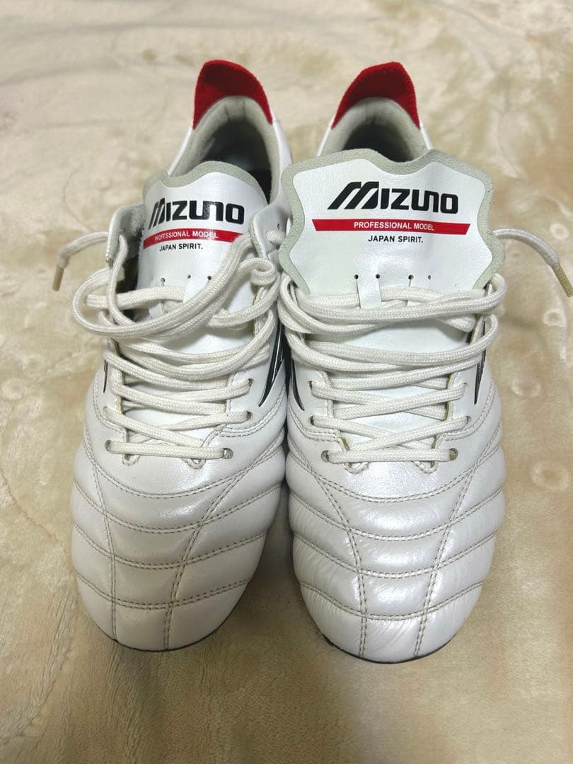 モレリアネオ　24.5cm