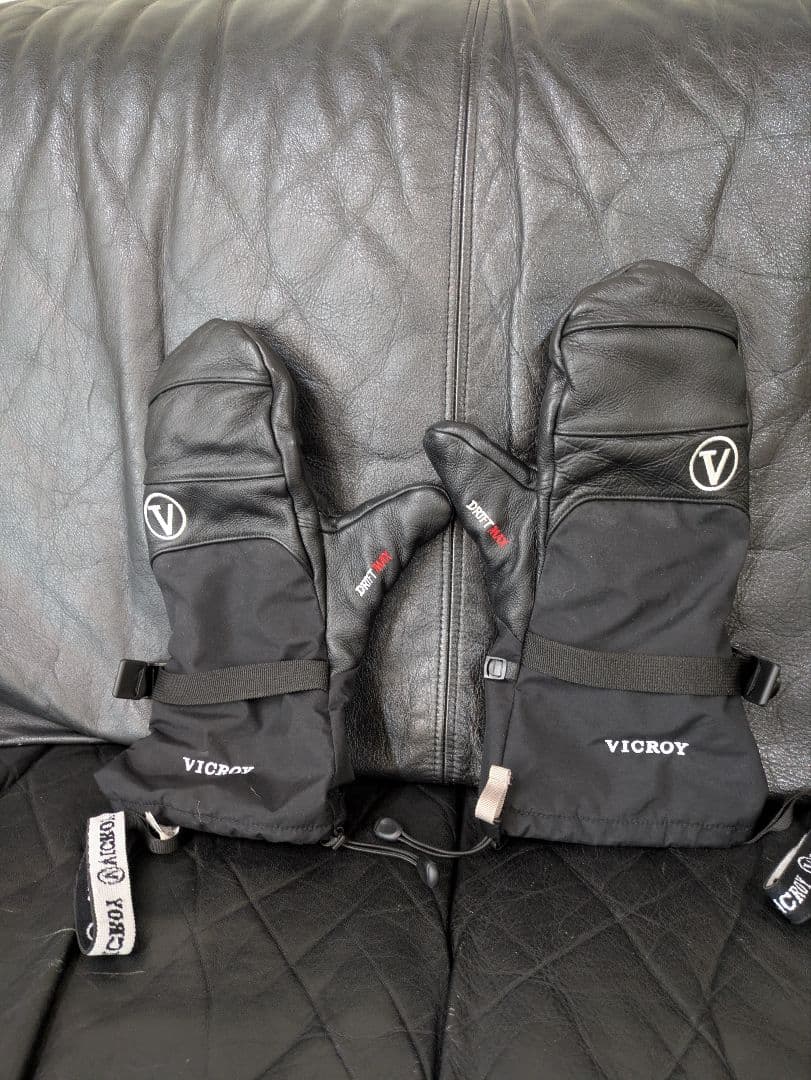 ア*ク様 VICROY ビクロイグローブ