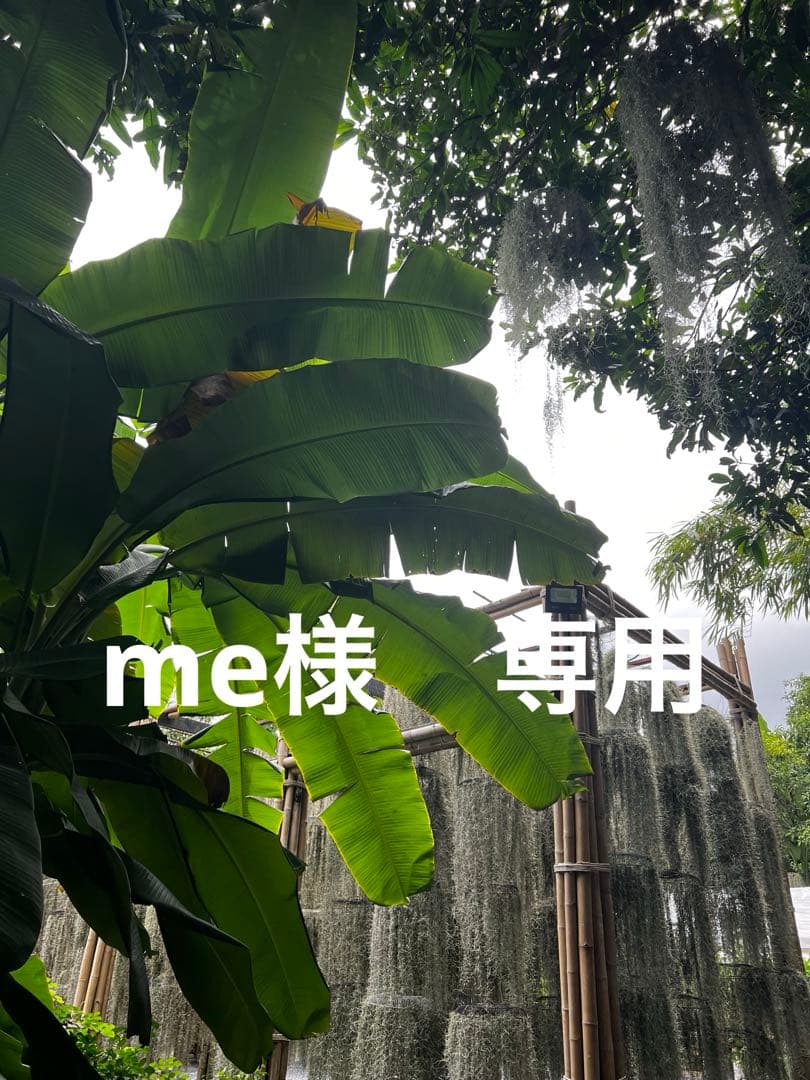 リヴァプールユニフォーム　25/26ヴィルツ