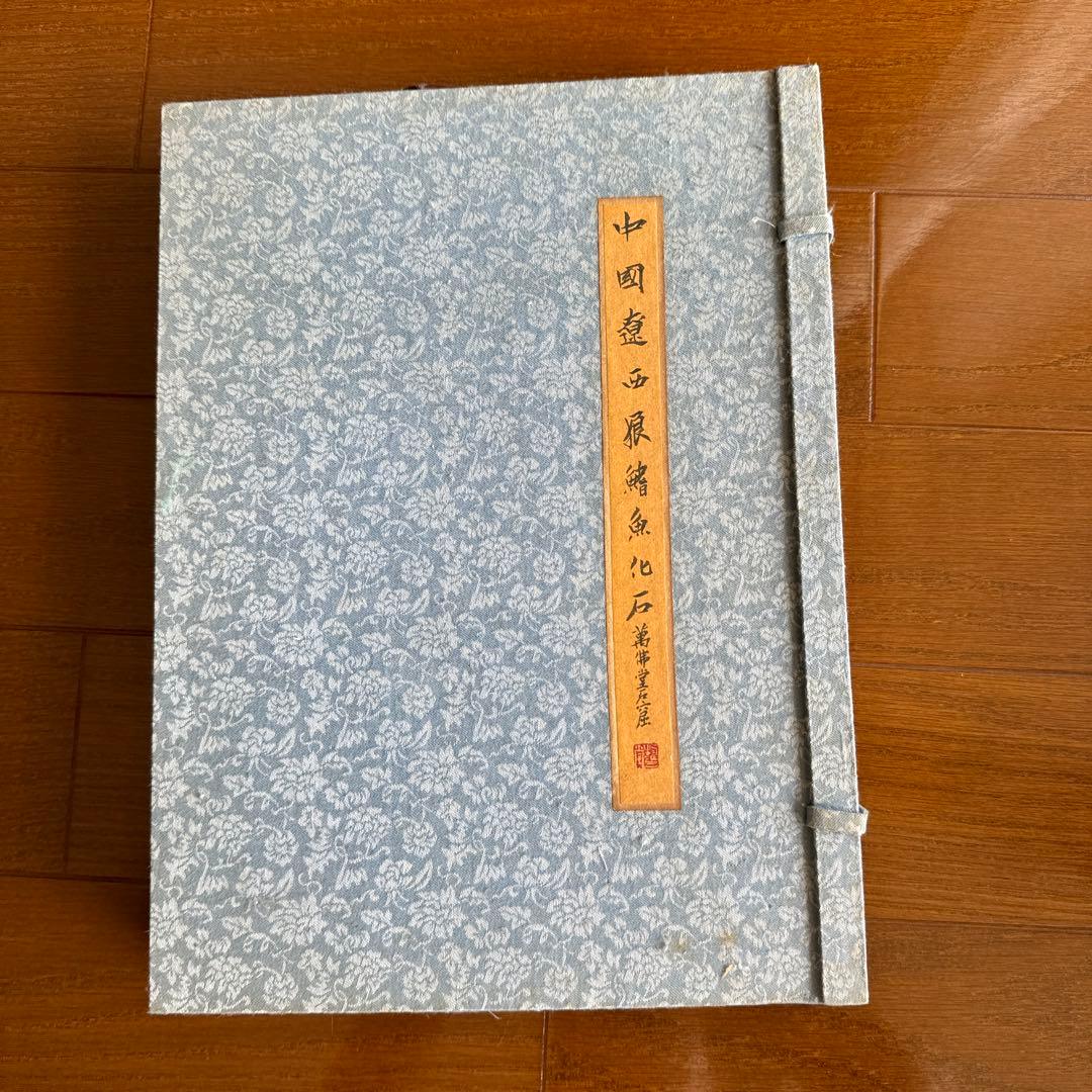 額装　魚の化石（Lophocephalus）約4千万年前 中国産