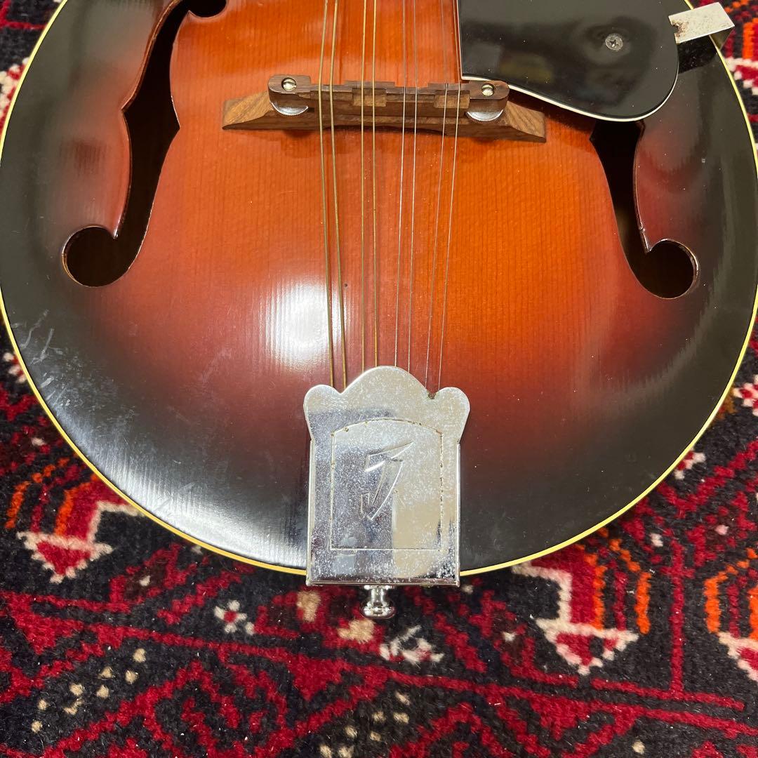 JUMBO 田原楽器　フラットマンドリン