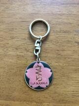 当時もの キーホルダー 特急 ヘッドマーク