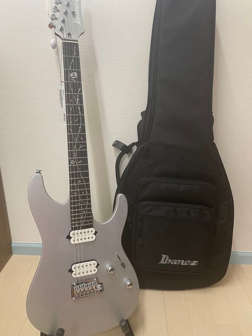 【ばーどぼーい】Ibanez TOD10 アーム有　バッグ付