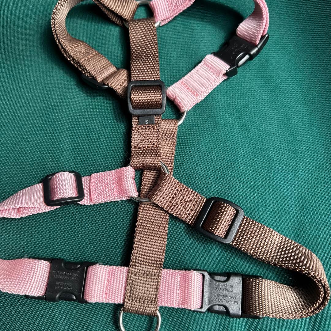 PERROS ペルロスハーネス M（PA20/S） モカブラッサム限定カラー