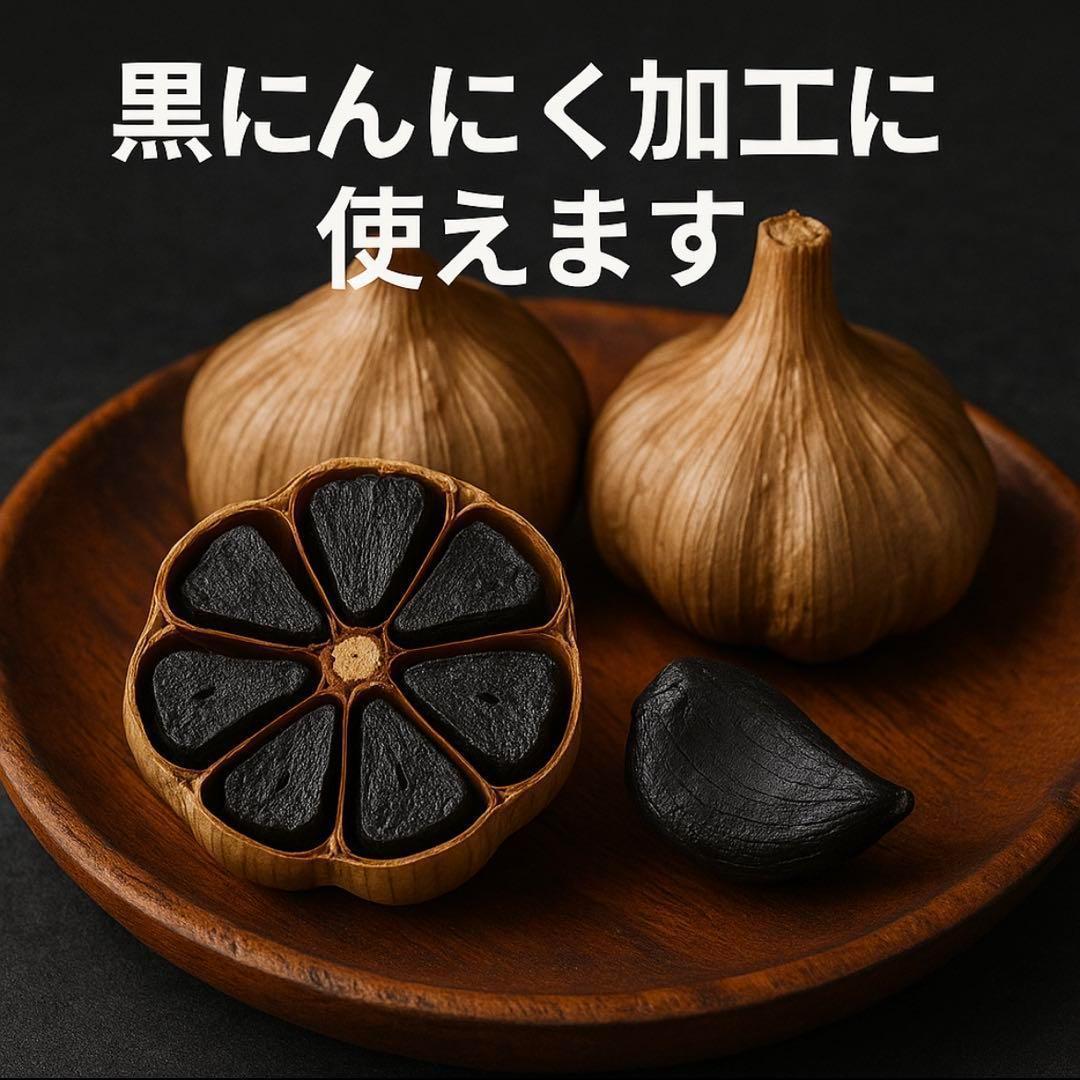 【大特価】青森県 福地ホワイト にんにく M 5kg 加工 種にんにく