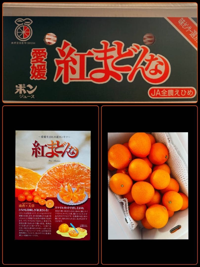 専用出品　エビカニ様