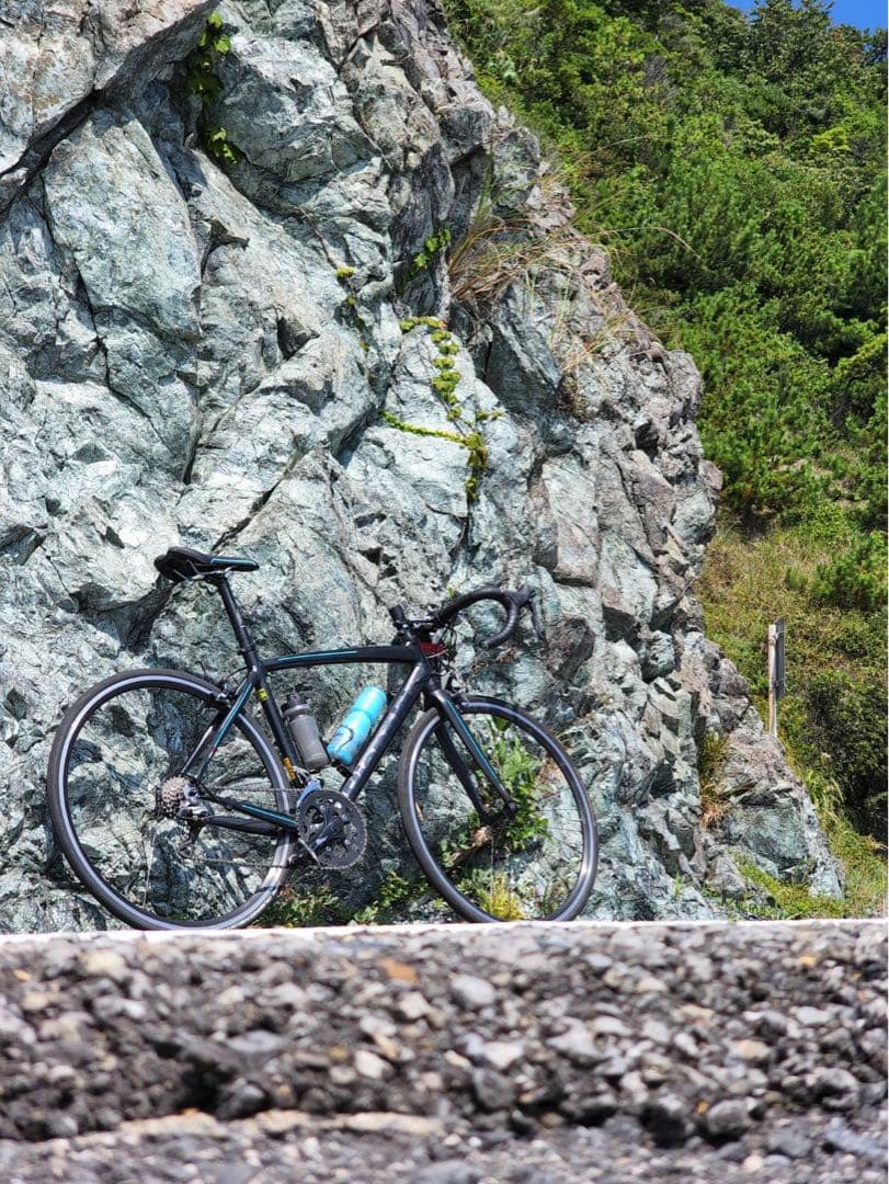 ※チキン野郎さま専用※Bianchi ベルガモ 完成車