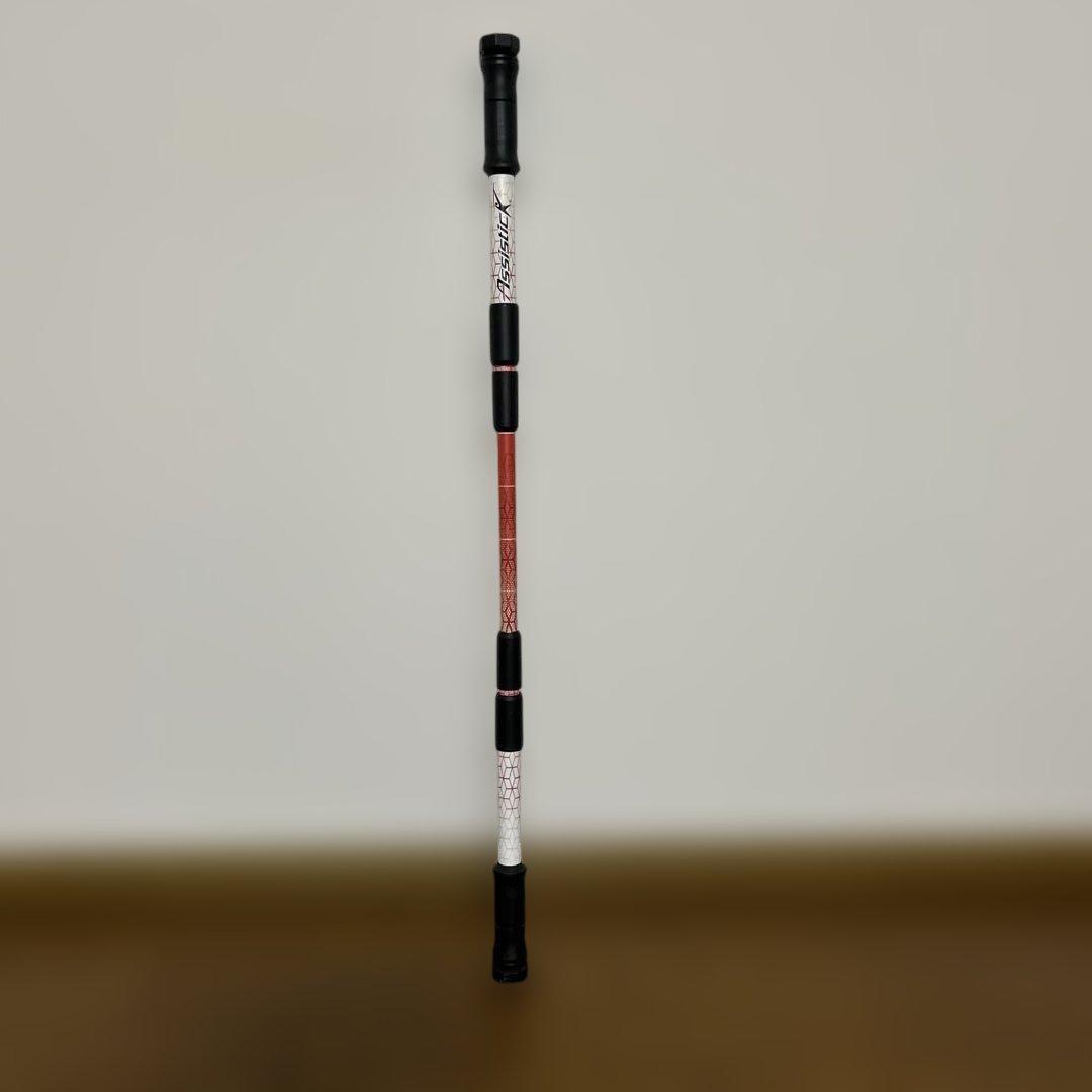 アシスティック（Assistick）