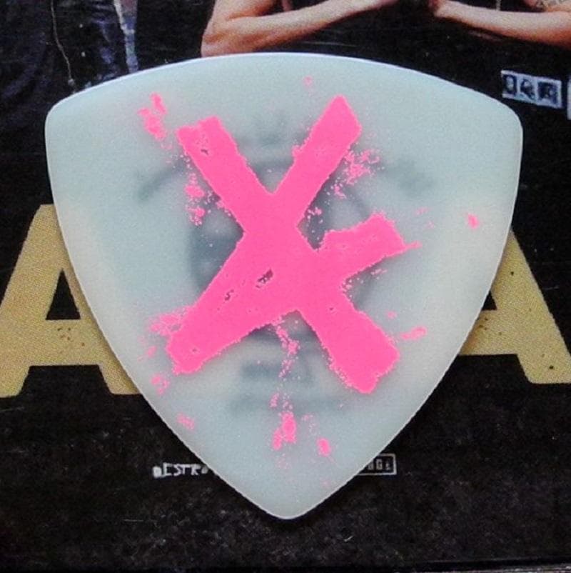 ONE OK ROCK ワンオクロック シドニー公演 AAAパス ギターピック