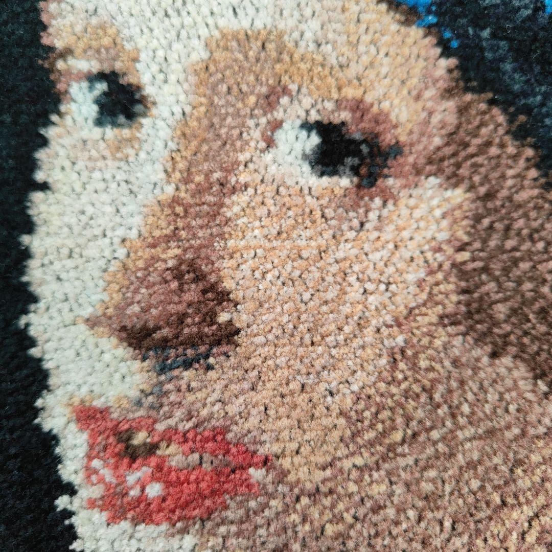 未使用　FEILER フェルメール　真珠の耳飾りの少女　フェイラー　希少　レア