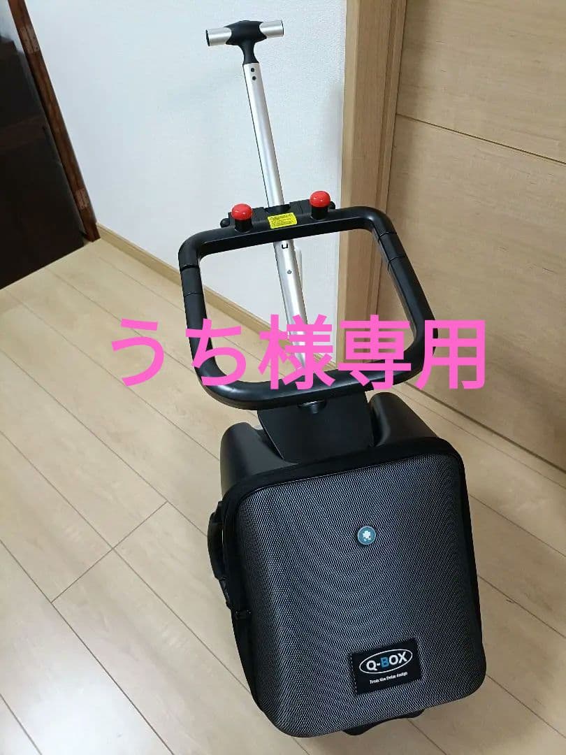 子供が乗れるキャリーカート ブラック