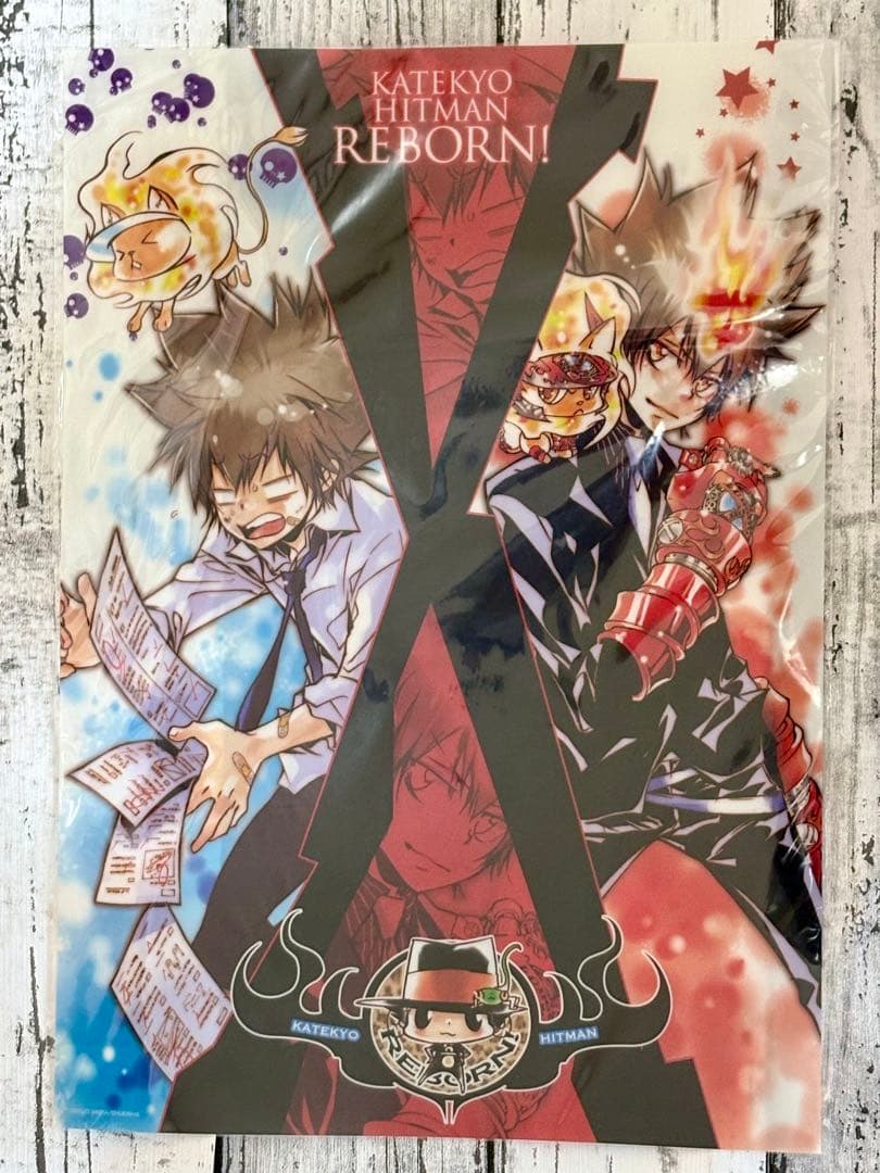 家庭教師ヒットマンREBORN!　沢田綱吉　ツナ　クリアポスター　原作絵