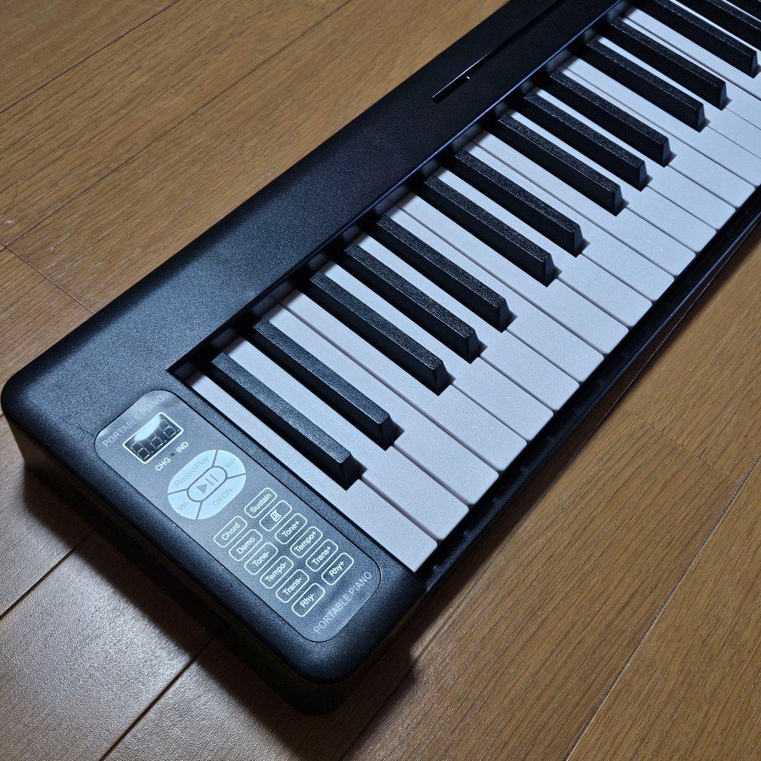 PLAYTECH PFK61 61鍵ポータブルキーボード 専用ケース付き