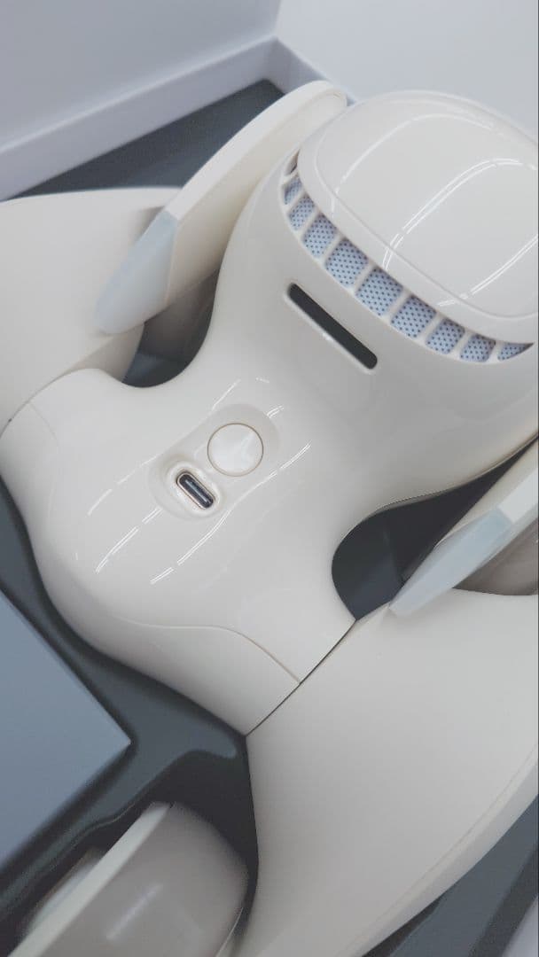 Loona Blue A34A0ペットロボット 充電ステーション、ゲームキット