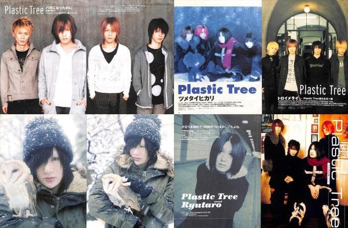 Plastic Tree 有村竜太朗 雑誌 切り抜き 302P ◆インディーズ