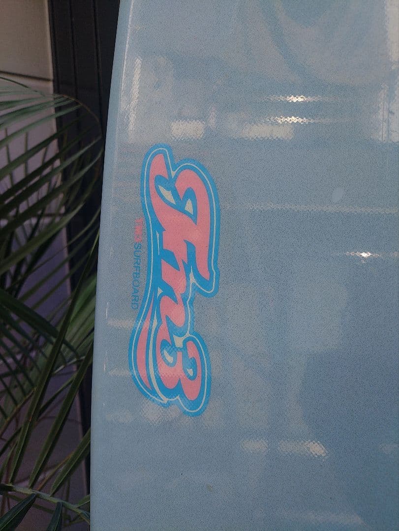 愛知 TM3 レディース 女性 サーフィン ショート ファン ボード FCS 波