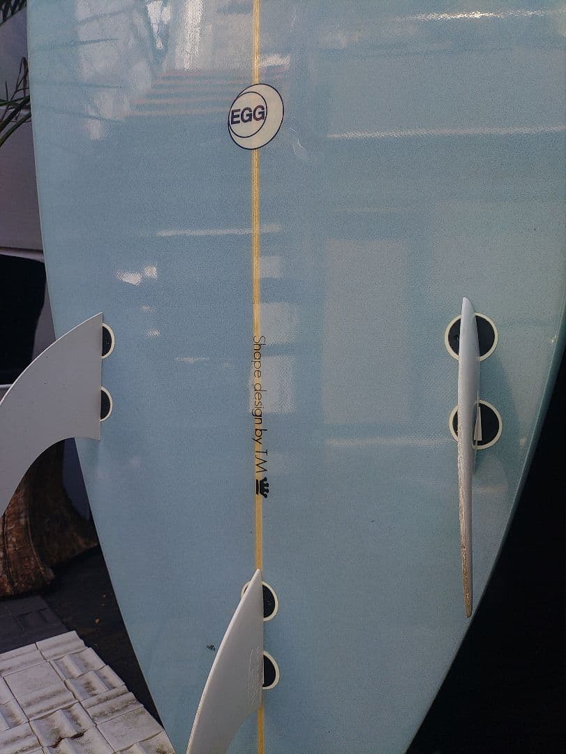 愛知 TM3 レディース 女性 サーフィン ショート ファン ボード FCS 波