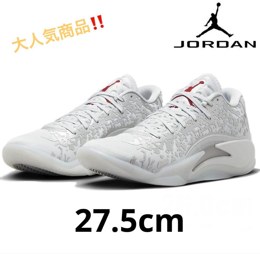 ナイキ ジョーダン リキッドメタル 27.5 NIKE