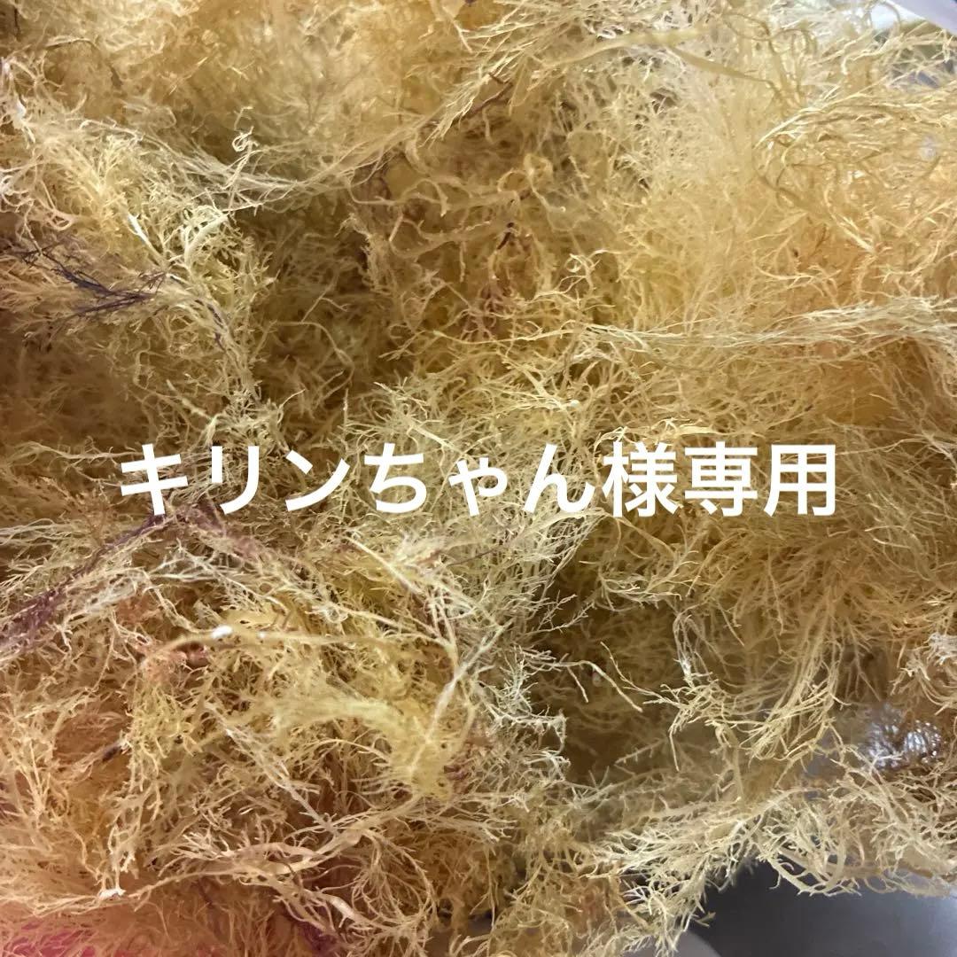 晒し天草1000g
