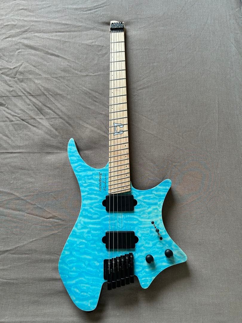 ギター Strandberg Borden RAS6