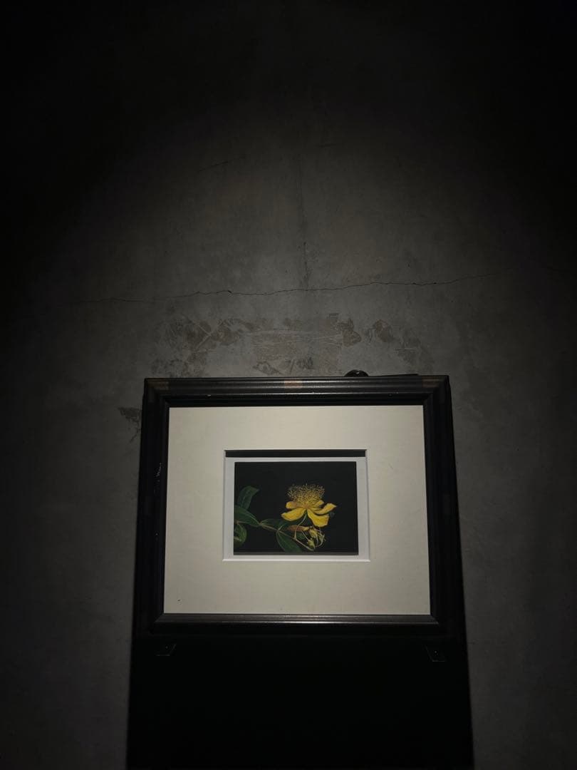 写実画【久古の花】リアリズム　肉質画