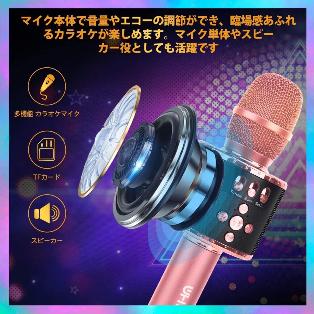 ❤自宅でカラオケ練習OK❣プロが練習用にも使用する本格派♪❤カラオケマイク