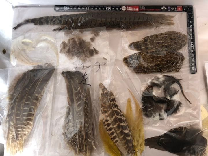 『匿名配送』フライフィッシングマテリアル大量ツール(ケース付)