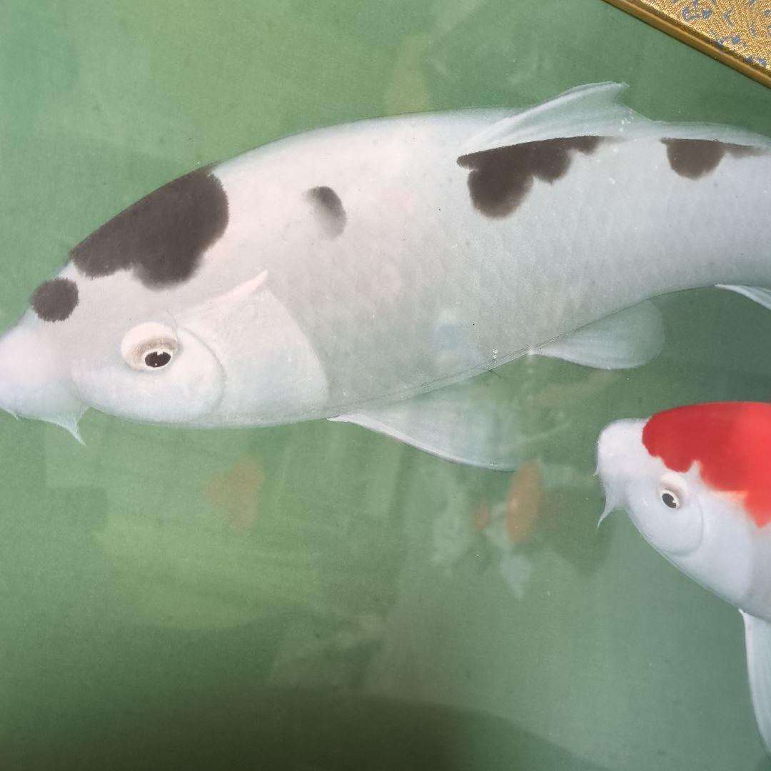 恩田華秀　鯉図　額装　遊鯉図　錦鯉　レトロ　ビンテージ額　絹本肉筆