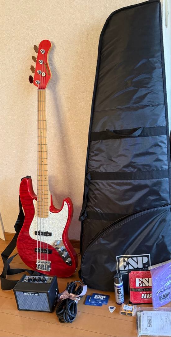 Edwards E-buzz bass ラルク tetsuyaモデル