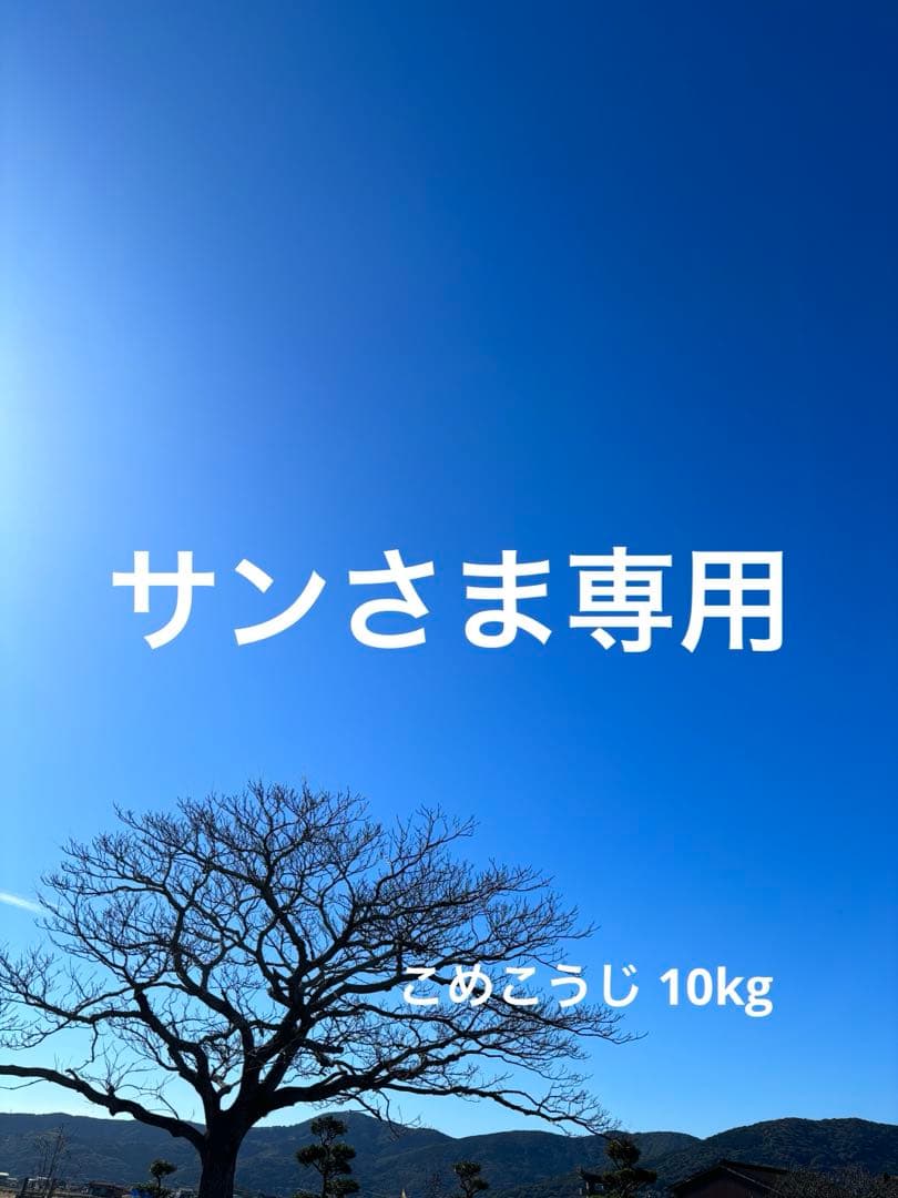 【 サンさま専用 】 こめこうじ 10kg