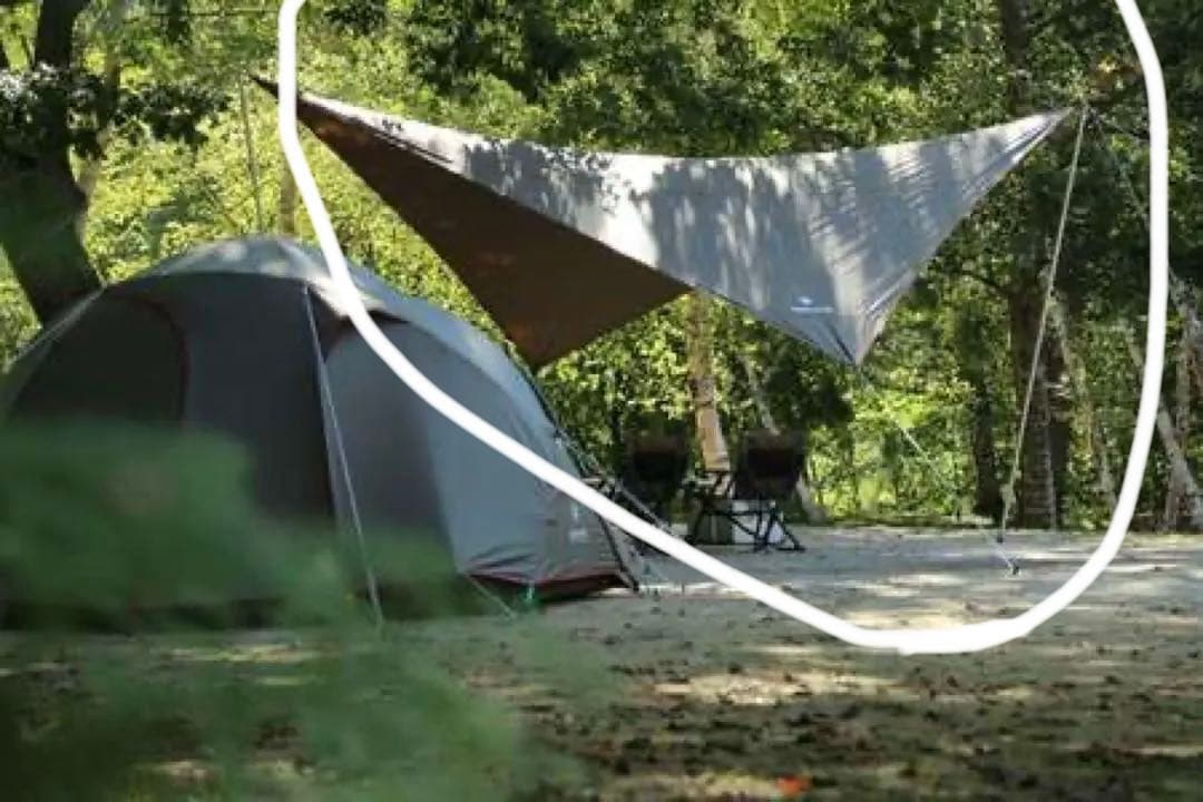  peak希少エクスクルーシブファミリーセットのウイングタープ