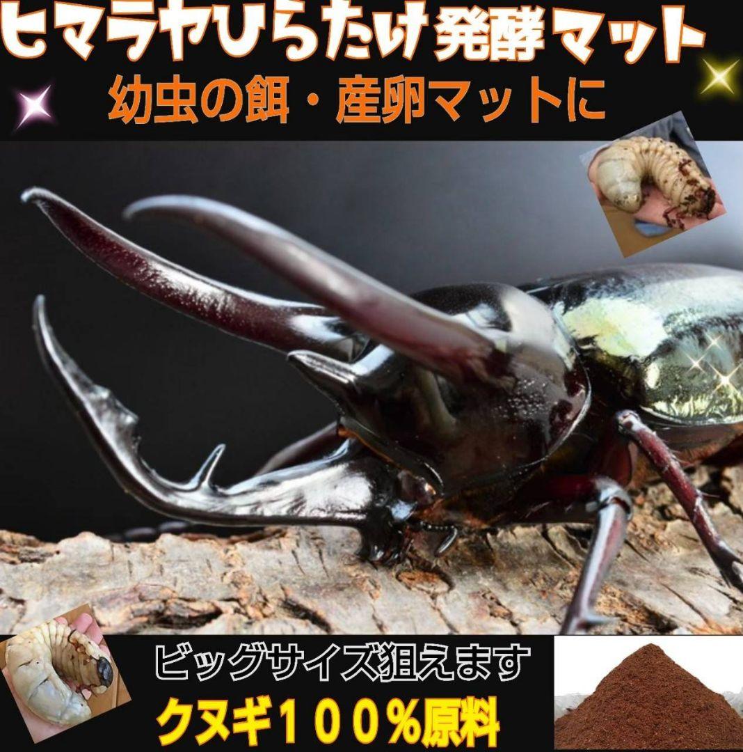 カブトムシ幼虫が大きくなる！発酵マット【たっぷり6袋】雑虫、コバエが湧かない！
