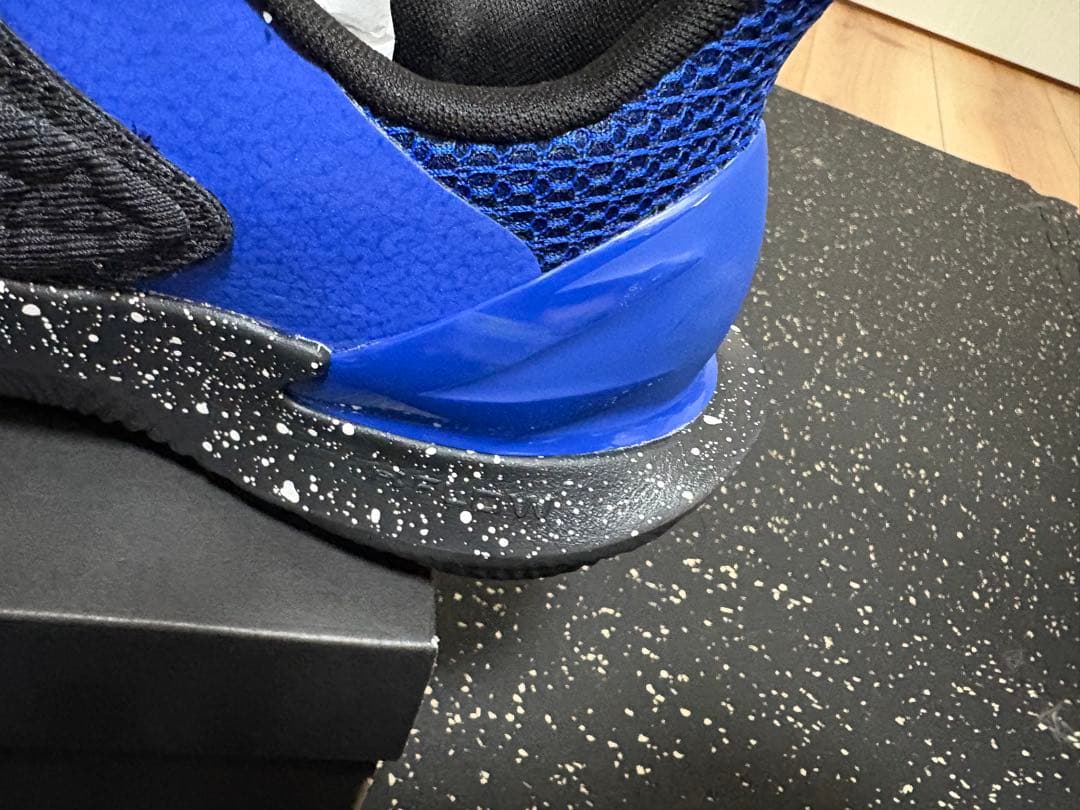 シューズ(男性用) CURRY FOX2 28.0