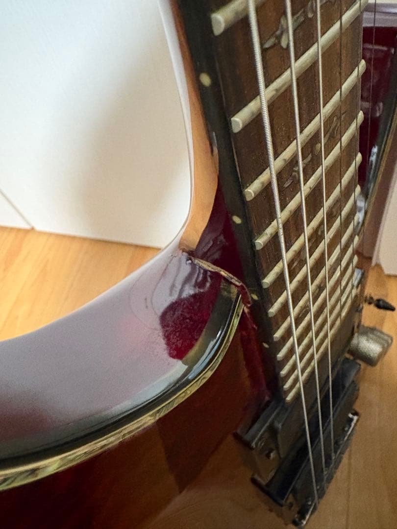 【aさん専用】SCHECTER HELLRAISER シェクター ヘルレイザー